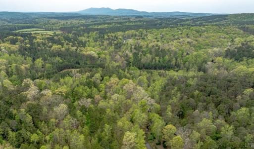 Photo #28 of Lot 361 Clear Point Run, Lynch Station, VA 3.7 acres