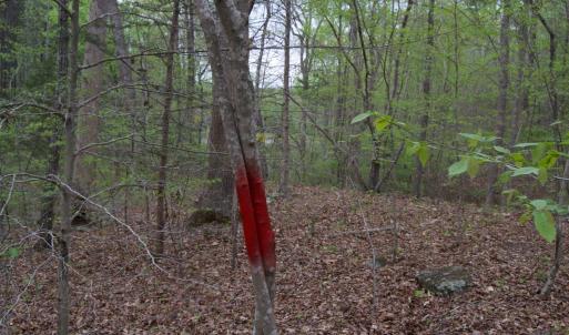 Photo #51 of Lot 361 Clear Point Run, Lynch Station, VA 3.7 acres