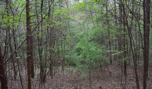 Photo #45 of Lot 361 Clear Point Run, Lynch Station, VA 3.7 acres