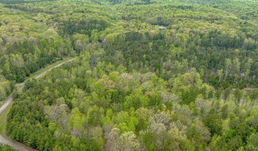 Photo #26 of Lot 361 Clear Point Run, Lynch Station, VA 3.7 acres