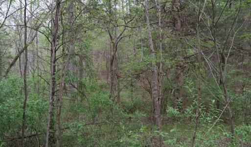 Photo #36 of Lot 361 Clear Point Run, Lynch Station, VA 3.7 acres