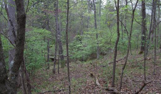 Photo #48 of Lot 361 Clear Point Run, Lynch Station, VA 3.7 acres