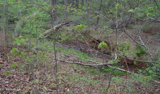 Photo #52 of Lot 361 Clear Point Run, Lynch Station, VA 3.7 acres