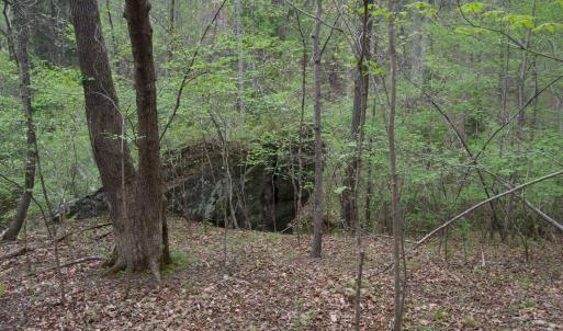 Photo #58 of Lot 361 Clear Point Run, Lynch Station, VA 3.7 acres
