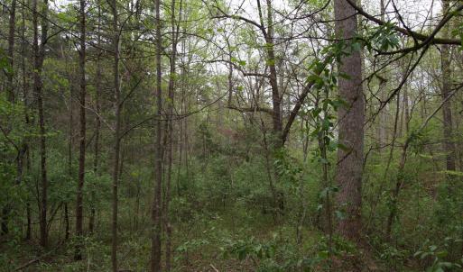 Photo #33 of Lot 361 Clear Point Run, Lynch Station, VA 3.7 acres