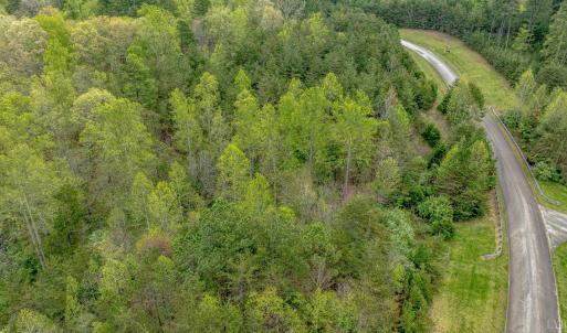 Photo #13 of Lot 361 Clear Point Run, Lynch Station, VA 3.7 acres