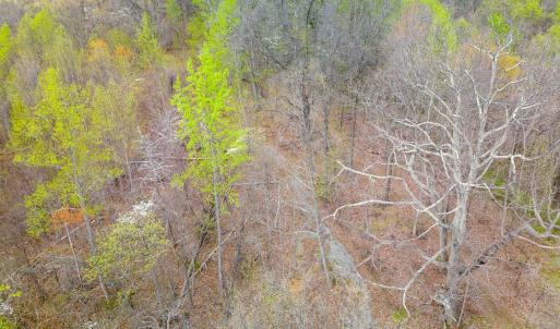 Photo #5 of Wares Gap Road, Monroe, VA 69.2 acres