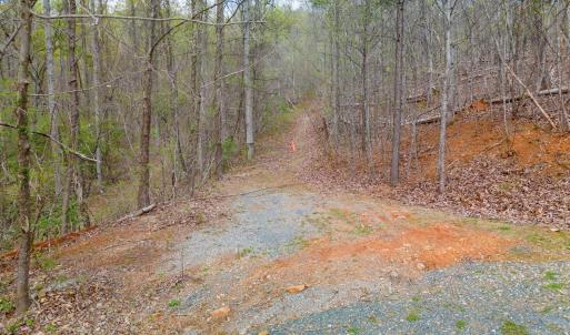 Photo #3 of Wares Gap Road, Monroe, VA 69.2 acres
