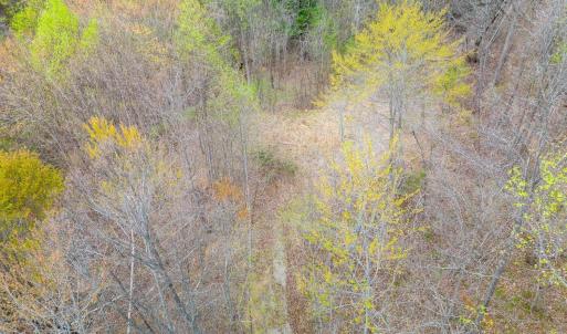 Photo #8 of Wares Gap Road, Monroe, VA 69.2 acres