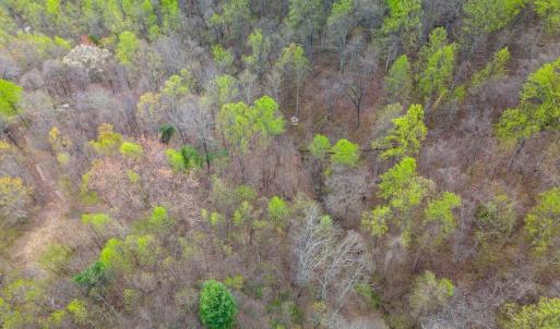 Photo #28 of Wares Gap Road, Monroe, VA 69.2 acres