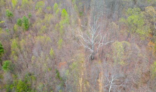 Photo #10 of Wares Gap Road, Monroe, VA 69.2 acres