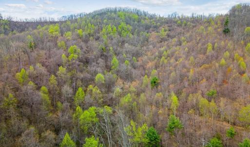 Photo #30 of Wares Gap Road, Monroe, VA 69.2 acres