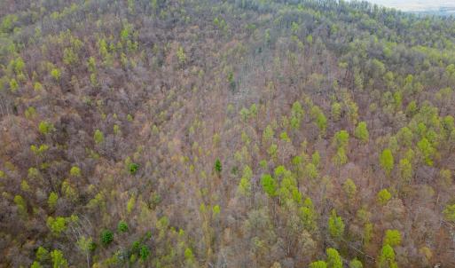 Photo #14 of Wares Gap Road, Monroe, VA 69.2 acres