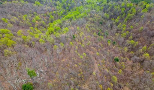 Photo #24 of Wares Gap Road, Monroe, VA 69.2 acres