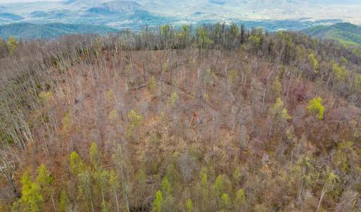 Photo #20 of Wares Gap Road, Monroe, VA 69.2 acres