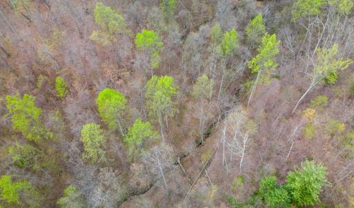 Photo #29 of Wares Gap Road, Monroe, VA 69.2 acres