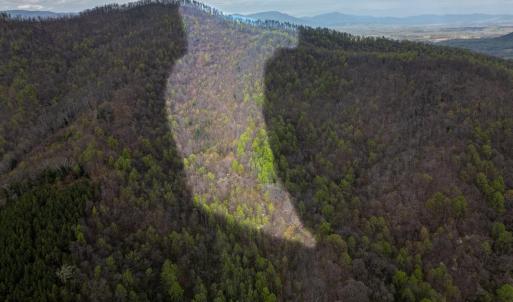 Photo #2 of Wares Gap Road, Monroe, VA 69.2 acres