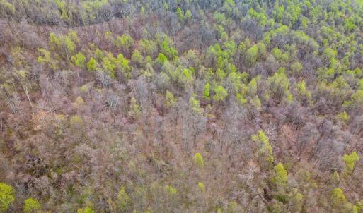 Photo #21 of Wares Gap Road, Monroe, VA 69.2 acres