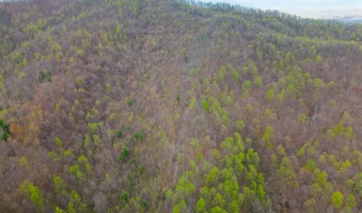 Photo #13 of Wares Gap Road, Monroe, VA 69.2 acres
