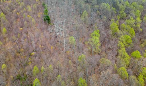 Photo #27 of Wares Gap Road, Monroe, VA 69.2 acres