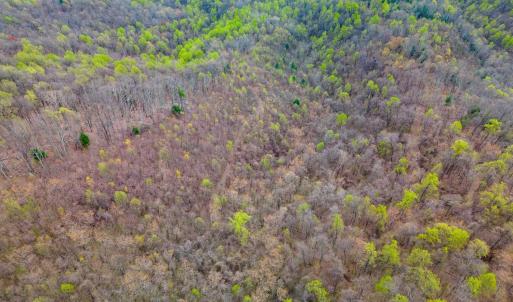 Photo #22 of Wares Gap Road, Monroe, VA 69.2 acres