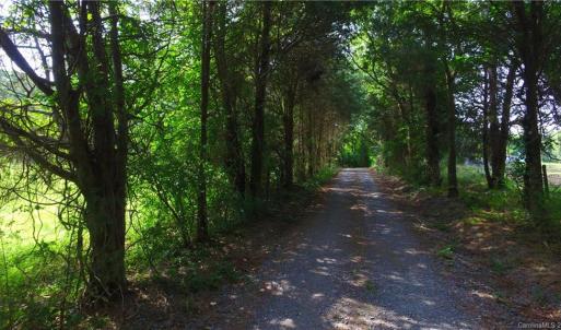 Photo #24 of 10822 Pettus Farm, Indian Land, SC 57.0 acres