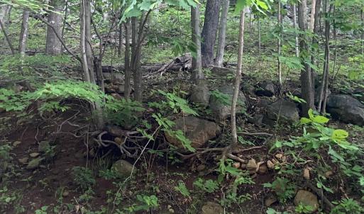 Photo #10 of Sawmill Road, Bedford, VA 6.4 acres