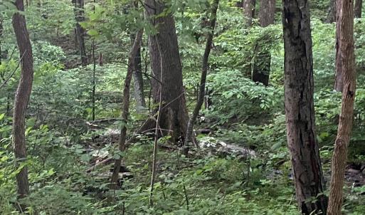 Photo #12 of Sawmill Road, Bedford, VA 6.4 acres