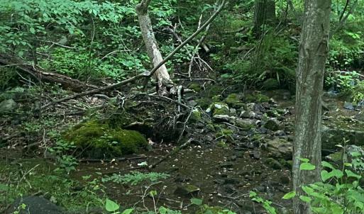 Photo #13 of Sawmill Road, Bedford, VA 6.4 acres