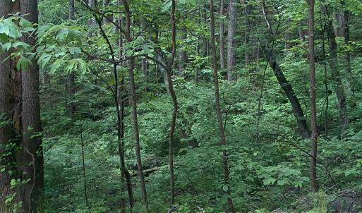 Photo #11 of Sawmill Road, Bedford, VA 6.4 acres