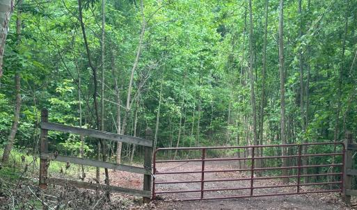 Photo #1 of Burgess Road, Madison Heights, VA 7.9 acres