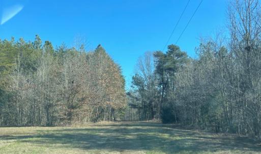 Photo #19 of 3200 Tobacco Road, Nathalie, VA 20.2 acres