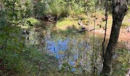 Photo #12 of 3200 Tobacco Road, Nathalie, VA 20.2 acres