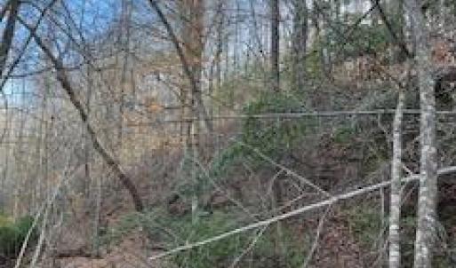 Photo #10 of 3200 Tobacco Road, Nathalie, VA 20.2 acres