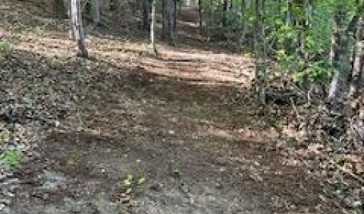Photo #14 of 3200 Tobacco Road, Nathalie, VA 20.2 acres