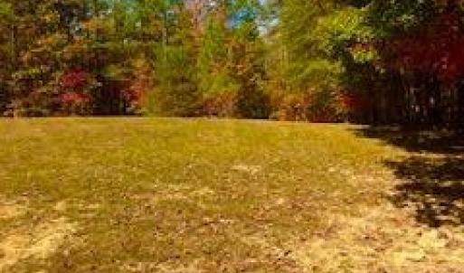 Photo #3 of 3200 Tobacco Road, Nathalie, VA 20.2 acres