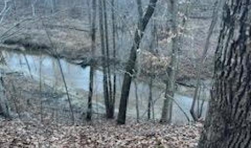 Photo #8 of 3200 Tobacco Road, Nathalie, VA 20.2 acres