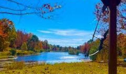 Photo #4 of 3200 Tobacco Road, Nathalie, VA 20.2 acres