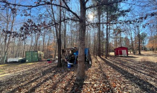 Photo #21 of 3200 Tobacco Road, Nathalie, VA 20.2 acres