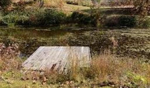 Photo #5 of 3200 Tobacco Road, Nathalie, VA 20.2 acres