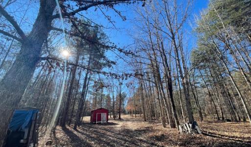 Photo #23 of 3200 Tobacco Road, Nathalie, VA 20.2 acres