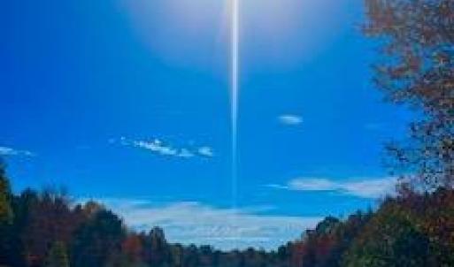 Photo #6 of 3200 Tobacco Road, Nathalie, VA 20.2 acres