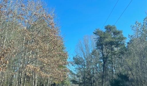 Photo #20 of 3200 Tobacco Road, Nathalie, VA 20.2 acres