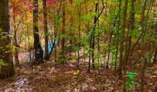 Photo #7 of 3200 Tobacco Road, Nathalie, VA 20.2 acres