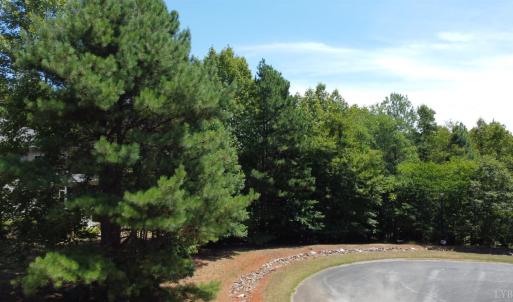 Photo #4 of Hidden Cove Lane, Lynch Station, VA 0.6 acres
