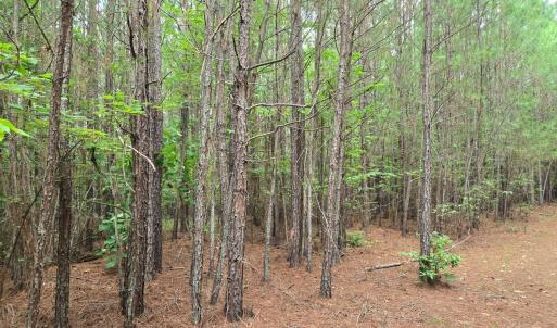 Photo #2 of Mountain Cut Rd, Appomattox, VA 64.1 acres