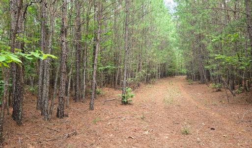 Photo #1 of Mountain Cut Rd, Appomattox, VA 64.1 acres