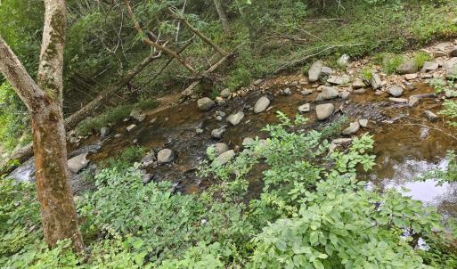 Photo #4 of Trey Court, Madison Heights, VA 16.3 acres
