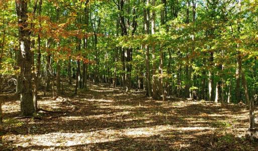 Photo #2 of Trey Court, Madison Heights, VA 16.3 acres