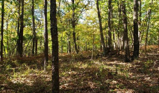 Photo #1 of Trey Court, Madison Heights, VA 16.3 acres